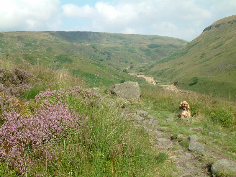 valley of Crowden Great Brook, with the crag of Laddow Rocks