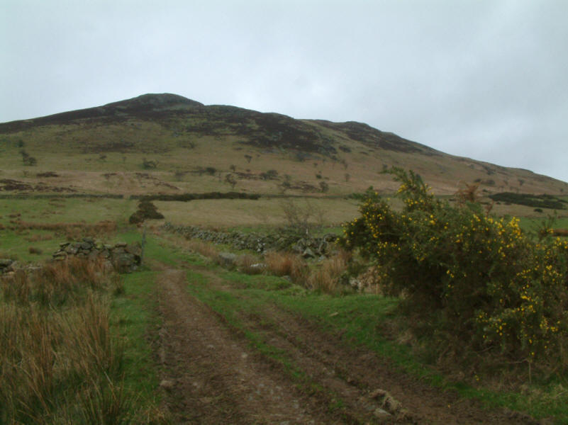West Crag and Binsey