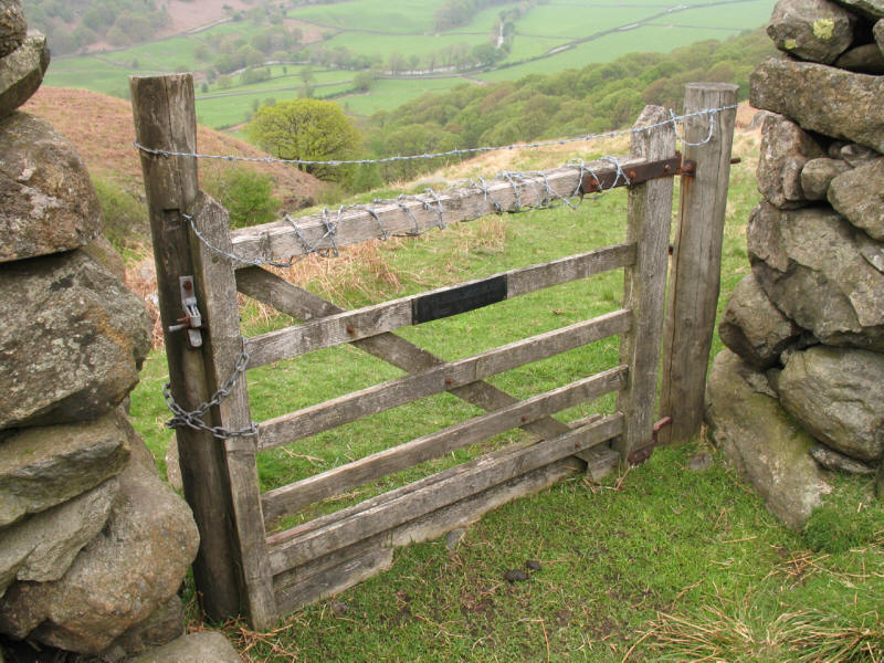 Gate with padlock and barbed wire