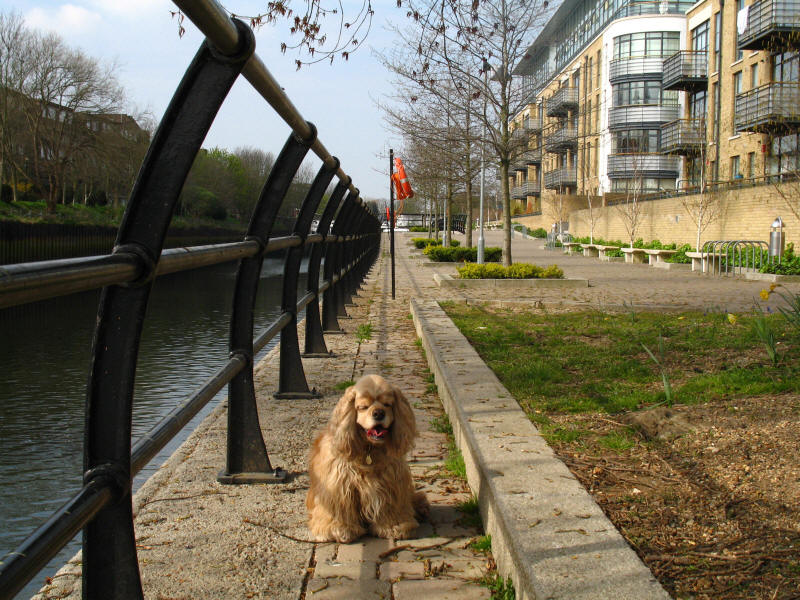 George by entrance to Grand Union Canal