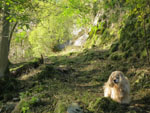 George in Cales Dale in the Peak District