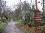 Abney Park cemetery in Stoke Newington