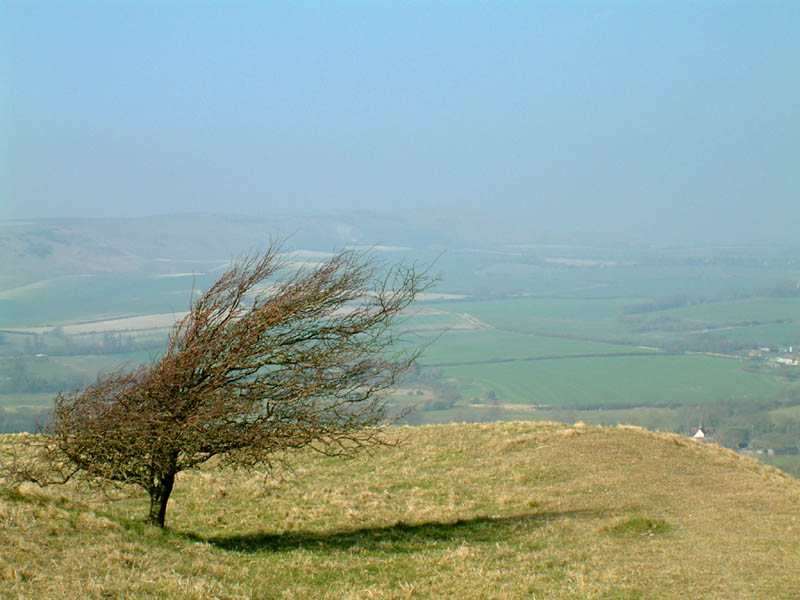 View from Windover Hill to Firle Beacon
