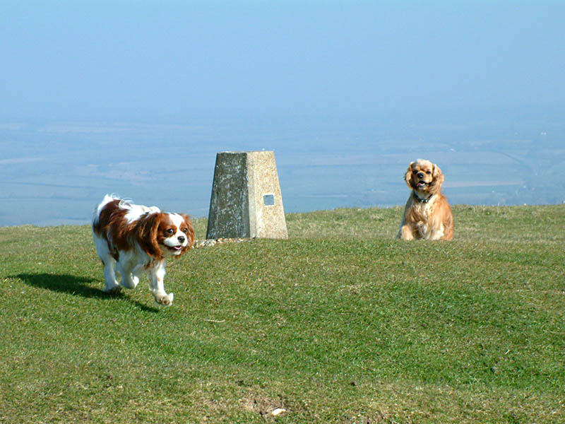 Henry and George on Firle Beacon