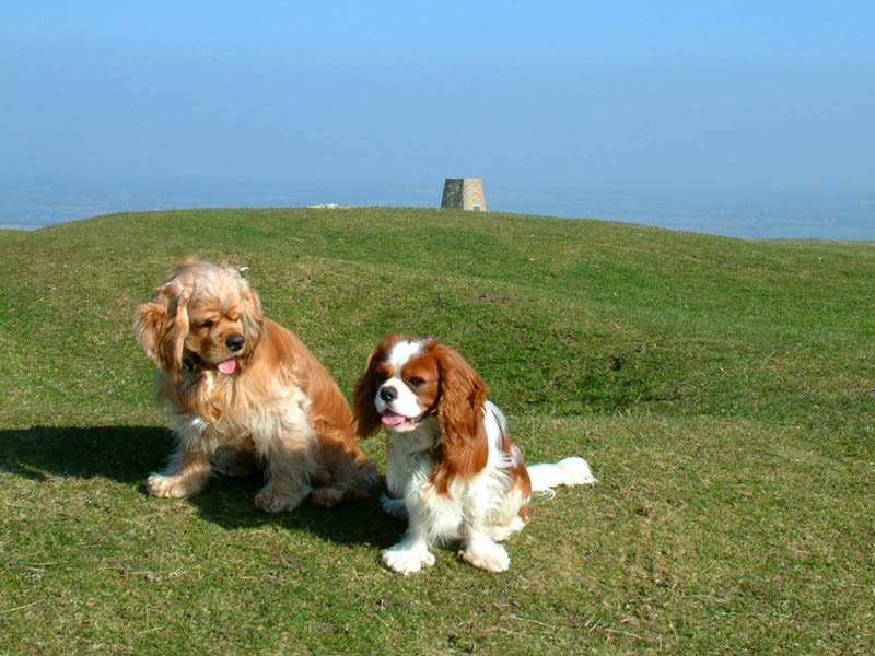 George and Henry on Firle Beacon