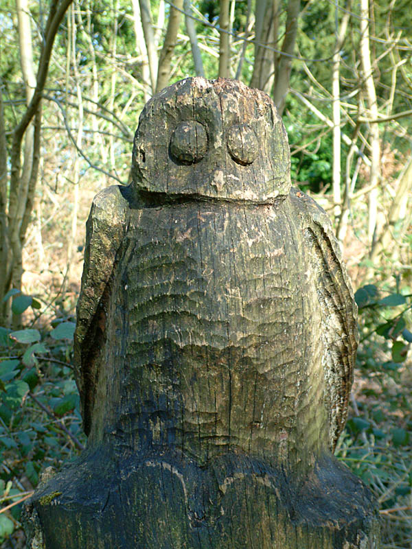 Carving of owl in Wendover Woods (click for larger photo)