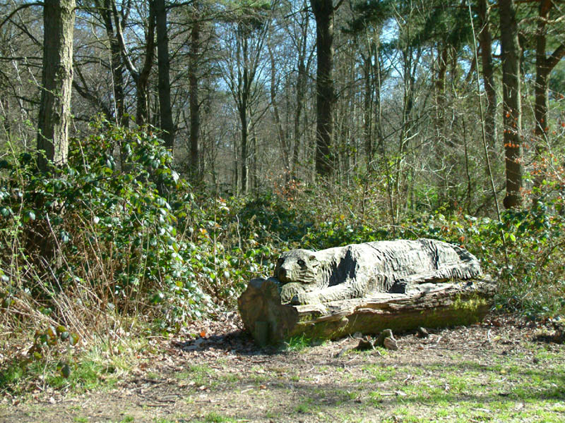 Wood carving in Wendover Woods (click for larger photo)