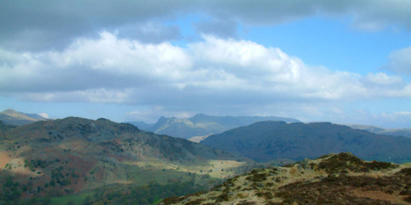 Langdale Pikes and Lingmoor Fell from Holme Fell