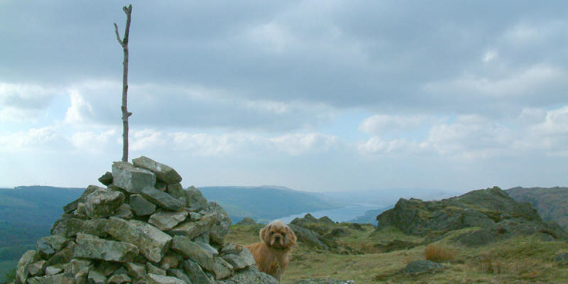 George and Coniston Water from Holme Fell