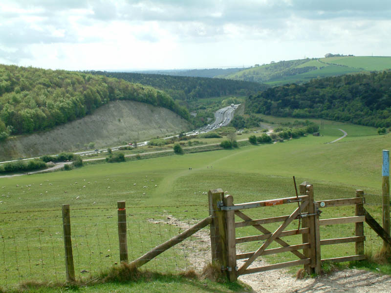 A3 road cutting through Queen Elizabeth II Country Park from Butser Hill