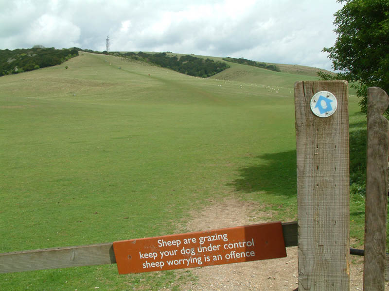 Path to Butser Hill in Queen Elizabeth II Country Park