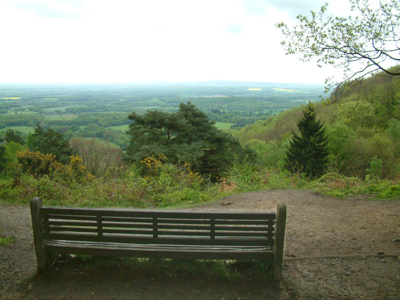 View from Blackdown near Haslemere