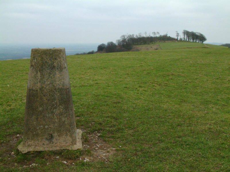 trig point and beech trees of Chanctonbury Ring