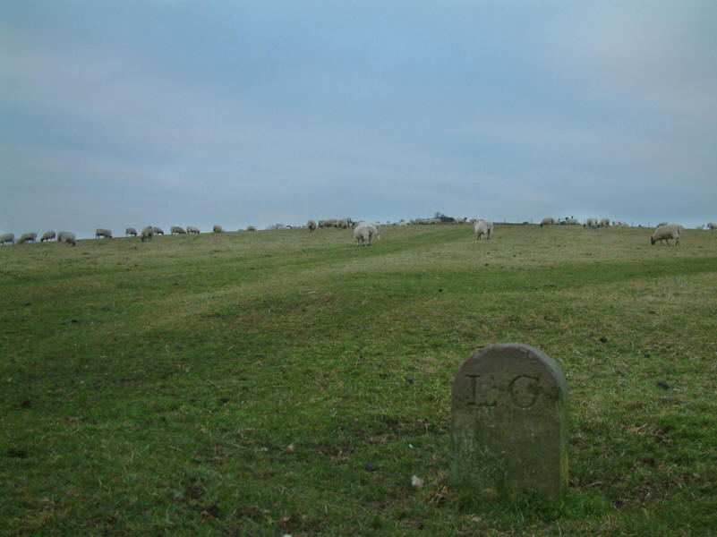 boundary stone on Cliffe Hill near Lewes