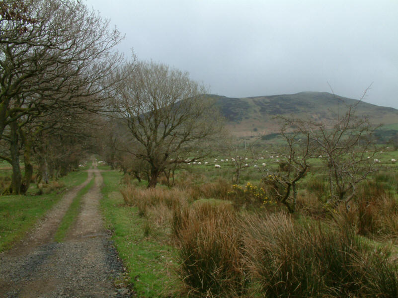 Binsey fell in the North-West Lake District