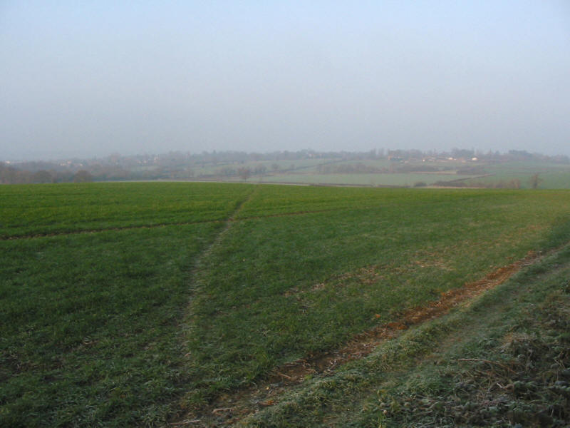 Fields between Chigwell and Chigwell Row
