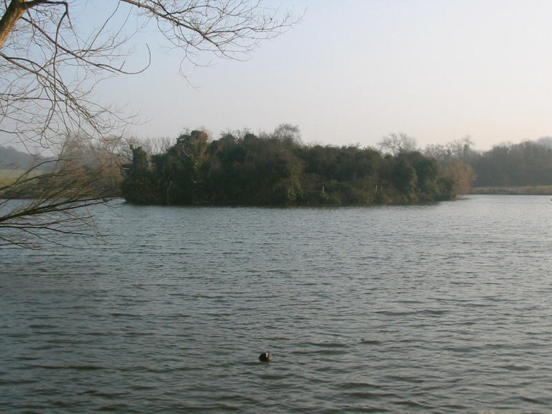Lake in Hainault Forest Country Park