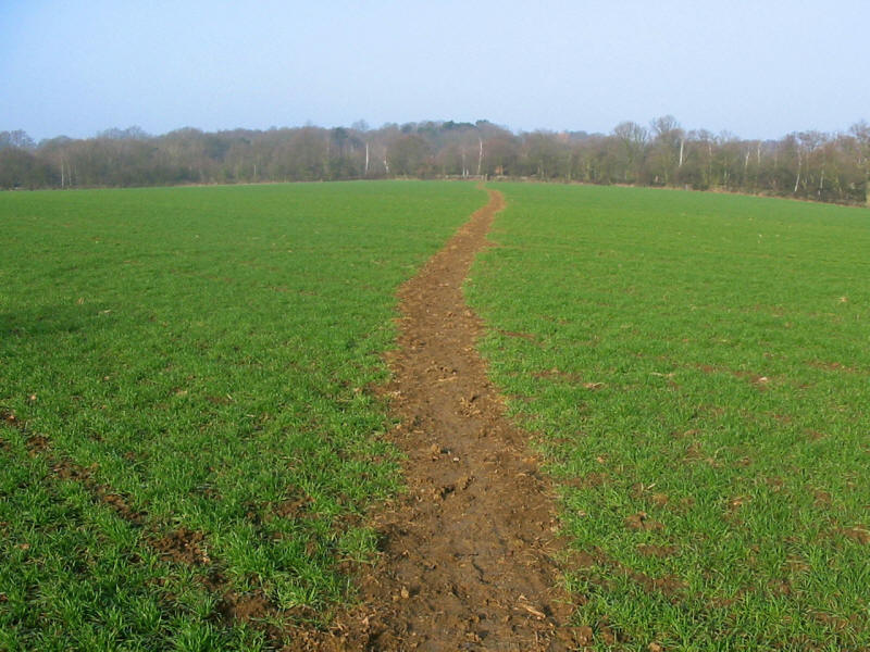 Field path on the London Loop