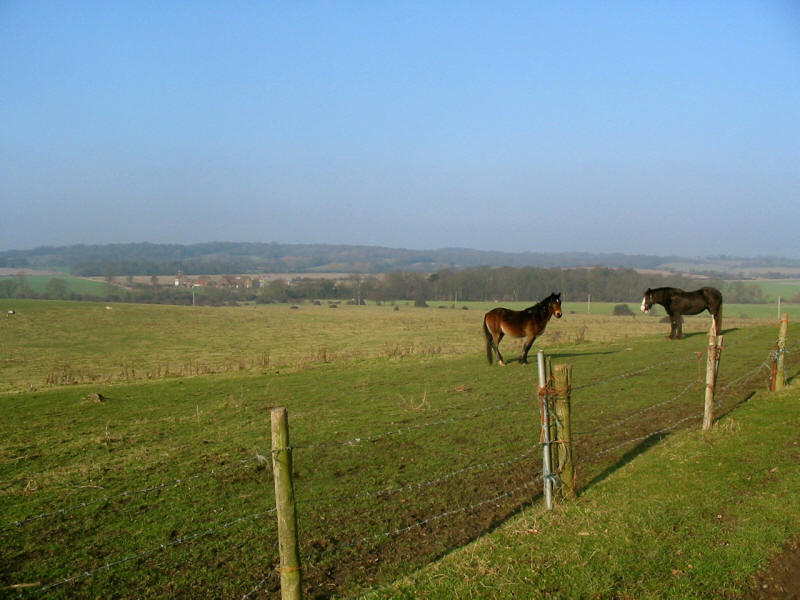 View to Park Farm from edge of Havering Country Park