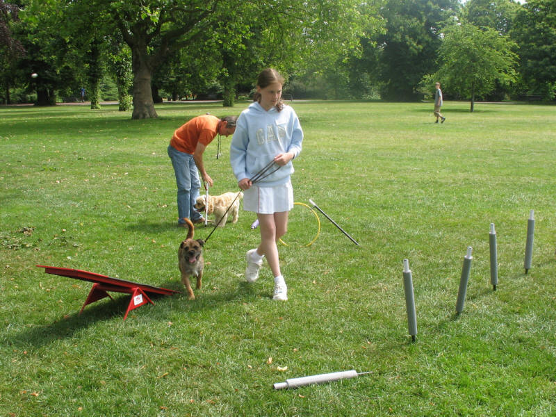 dog agility in Greenwich Park, London