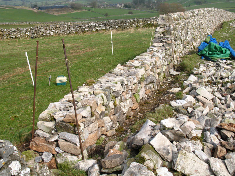 Limestone drystone wall construction, Peak District