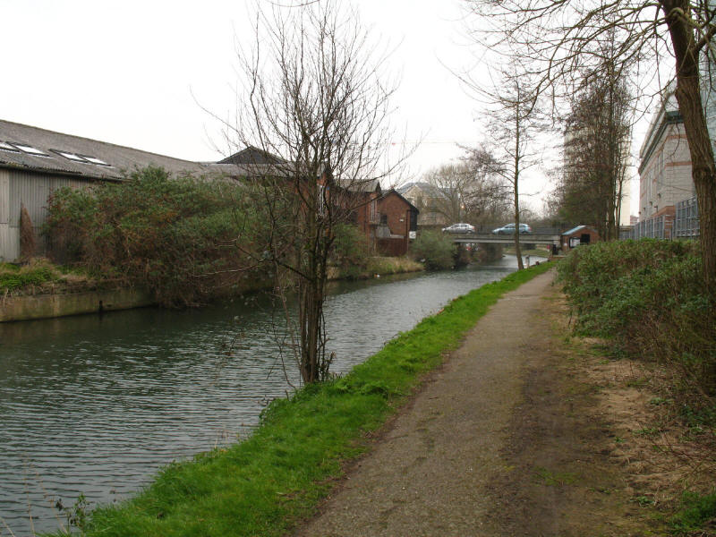 River Stort in Bishop's Stortford