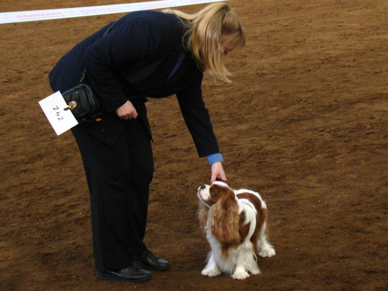 Lucy and Henry in the adult handling class