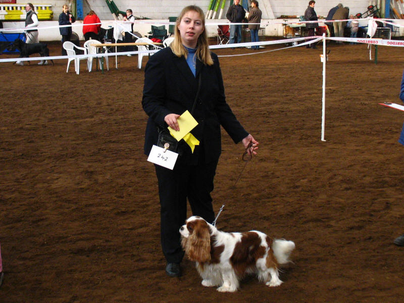 Third-prize winners in the adult handling