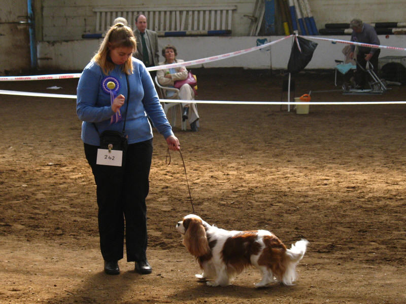 Lucy and Henry competing for Best in Show