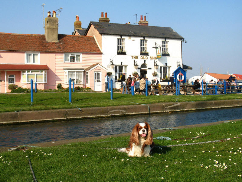 Henry and the Old Ship, Maldon