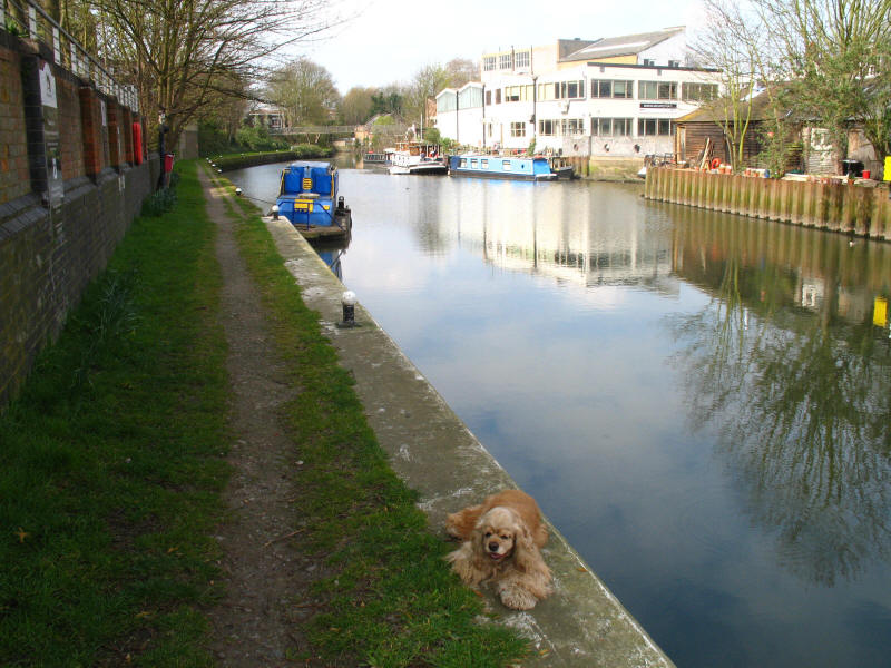 Grand Union Canal and River Brent above Thames Lock