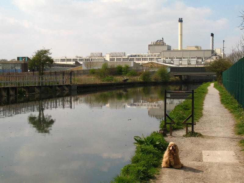 Nestlé factory, Grand Union Canal, Hayes