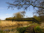 A boardwalk leads us to the bridge over the River Thet during a walk on the Peddars Way