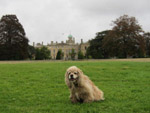 George in front of Culford School