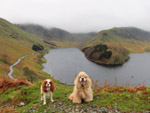 Hetty and George above Haweswater