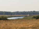 a glimpse of a sail on the River Waveney