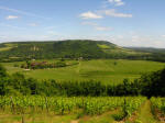 Box Hill and Denbies Vineyard from North Downs Way