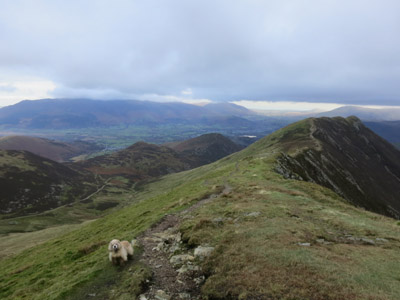 George on the ridge to Causey Pike in the Lake District