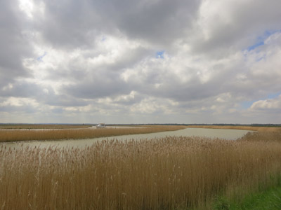 River Yare between Reedham and Berney Arms