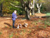 Lucy and the dogs in Epping Forest